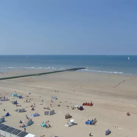 241 * Oostende